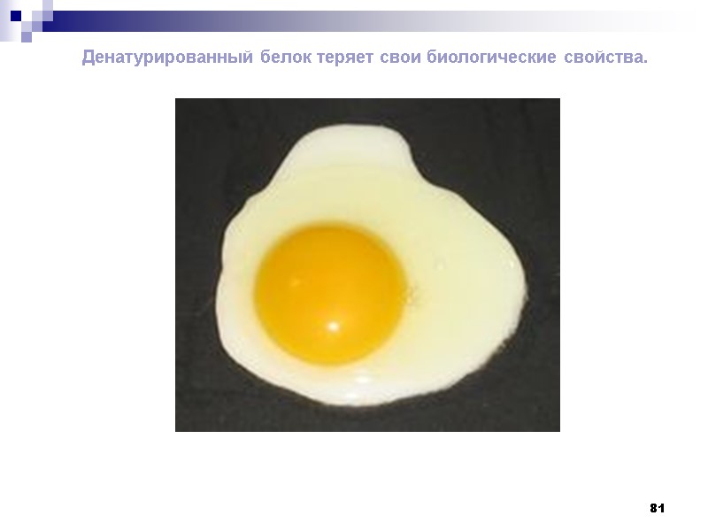 81 Денатурированный белок теряет свои биологические свойства.